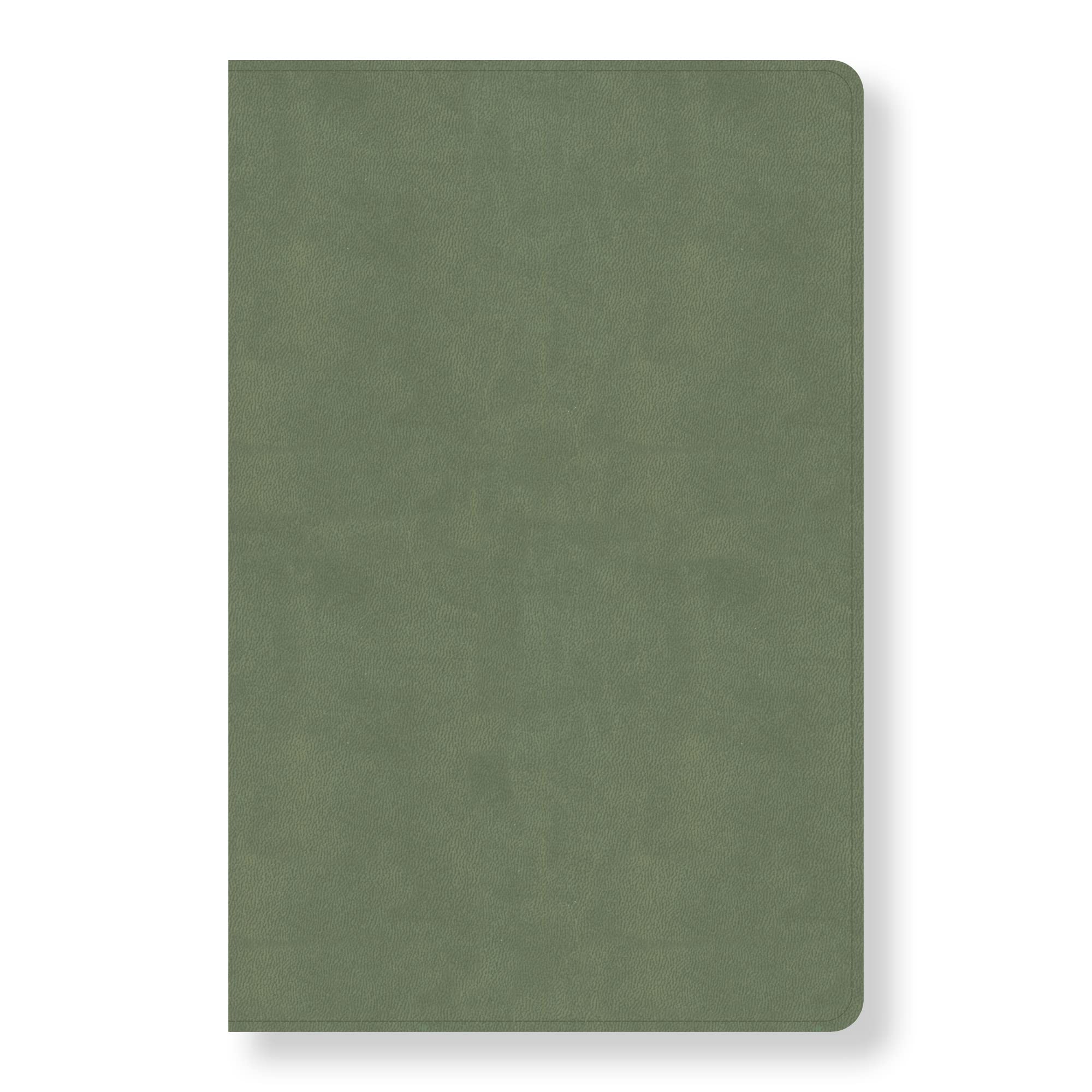 CSB Every Day with Jesus Daily Bible, Sage LeatherTouch, Black Letter, Reading Plan, One Year, Devotionals, EasytoRead Bible S