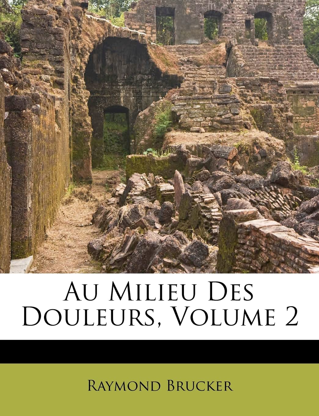 Au Milieu Des Douleurs, Volume 2 (French Edition),Used