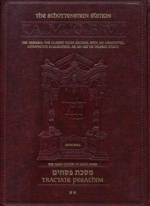 PESACHIM2 [TALMUD] Schottenstein Ed.,Used