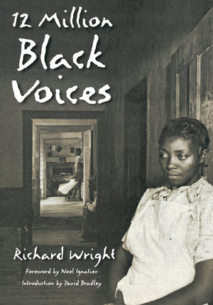 12 Million Black Voices,Used