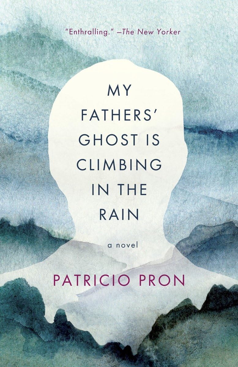 My Fathers' Ghost Is Climbing in the Rain: A Novel,Used