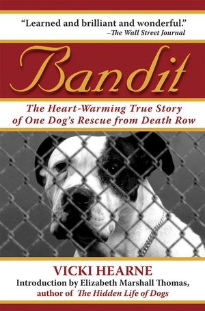 Bandit: The HeartWarming True Story of One Dog's Rescue from Death Row,Used