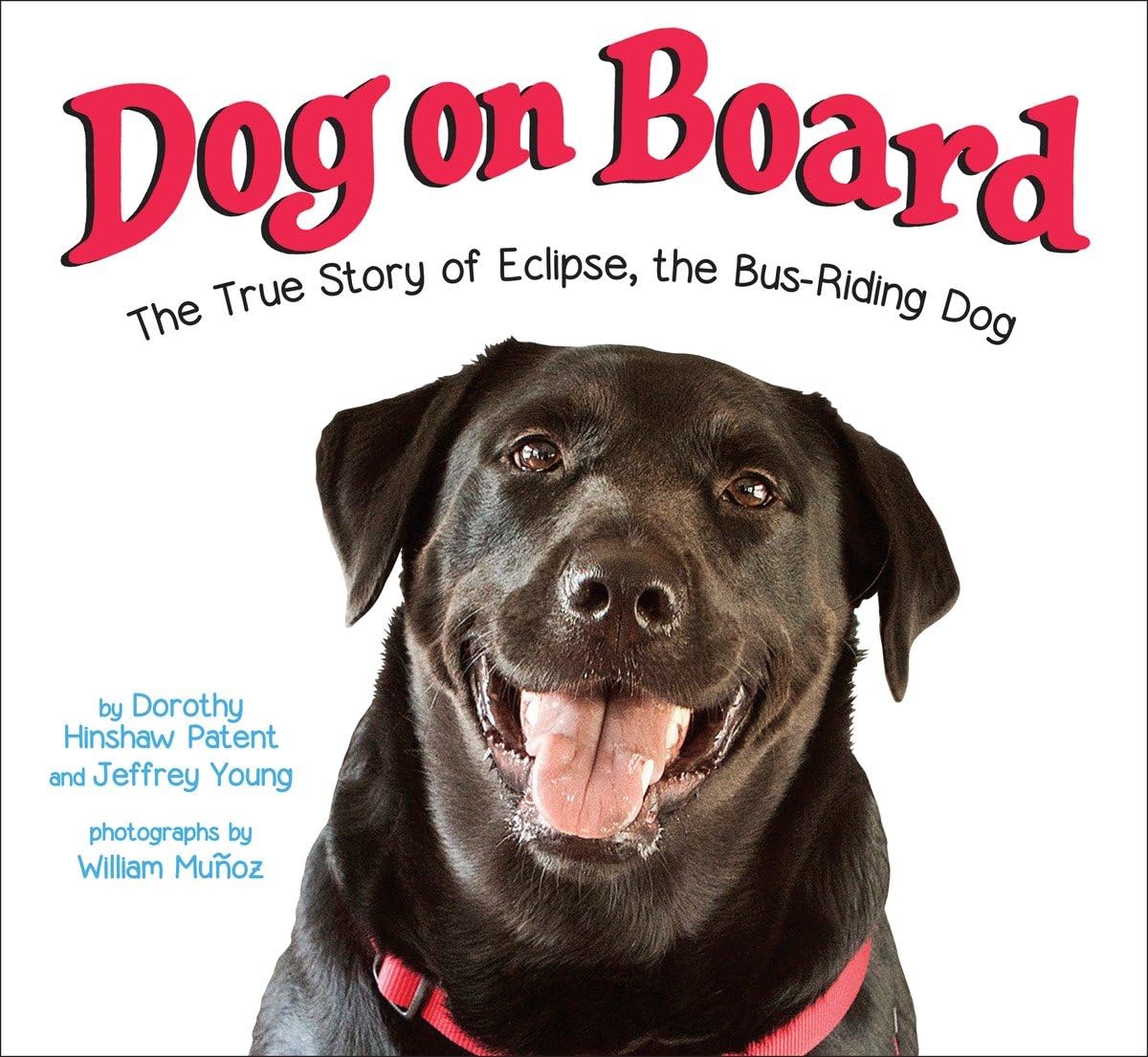 Dog on Board: The True Story of Eclipse, the BusRiding Dog,Used