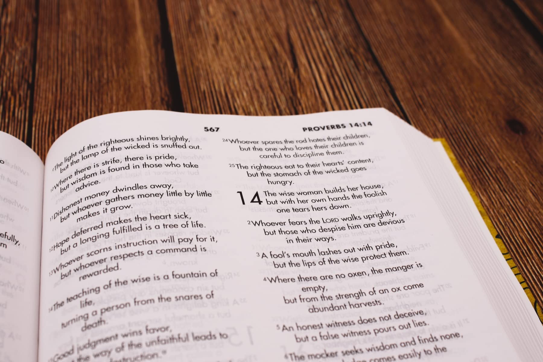 NIV, Textbook Bible for Students, Hardcover,Used