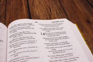 NIV, Textbook Bible for Students, Hardcover,Used