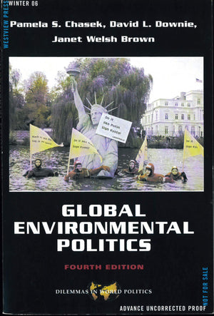 Global Environmental Politics (Dilemmas in World Politics),Used
