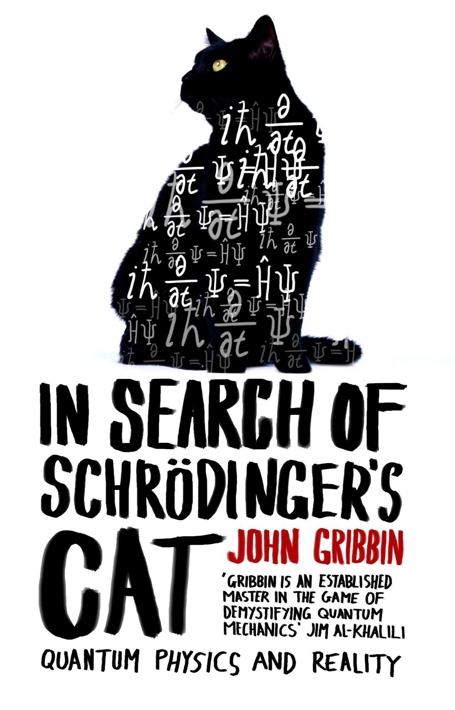 In Search of Schrodingers Cat