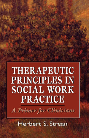 Therapeutic Principles in Social Work Practice: A Primer for Clinicians (The Master Work),Used