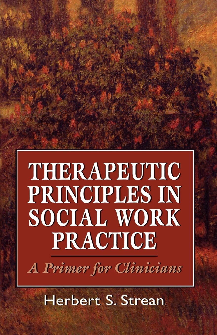 Therapeutic Principles in Social Work Practice: A Primer for Clinicians (The Master Work),Used