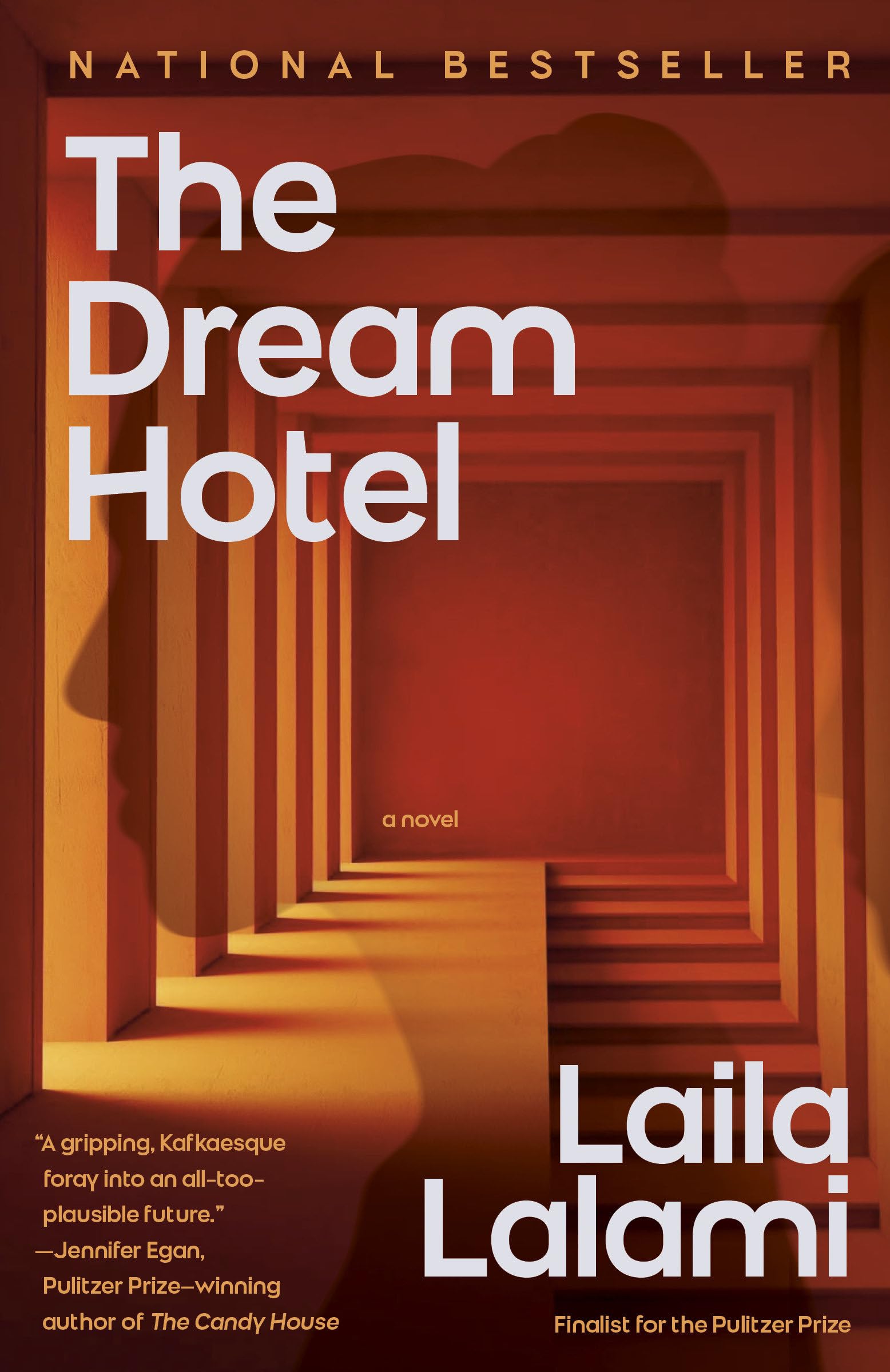 The Dream Hotel: A Novel