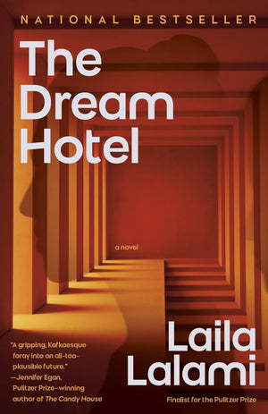 The Dream Hotel: A Novel