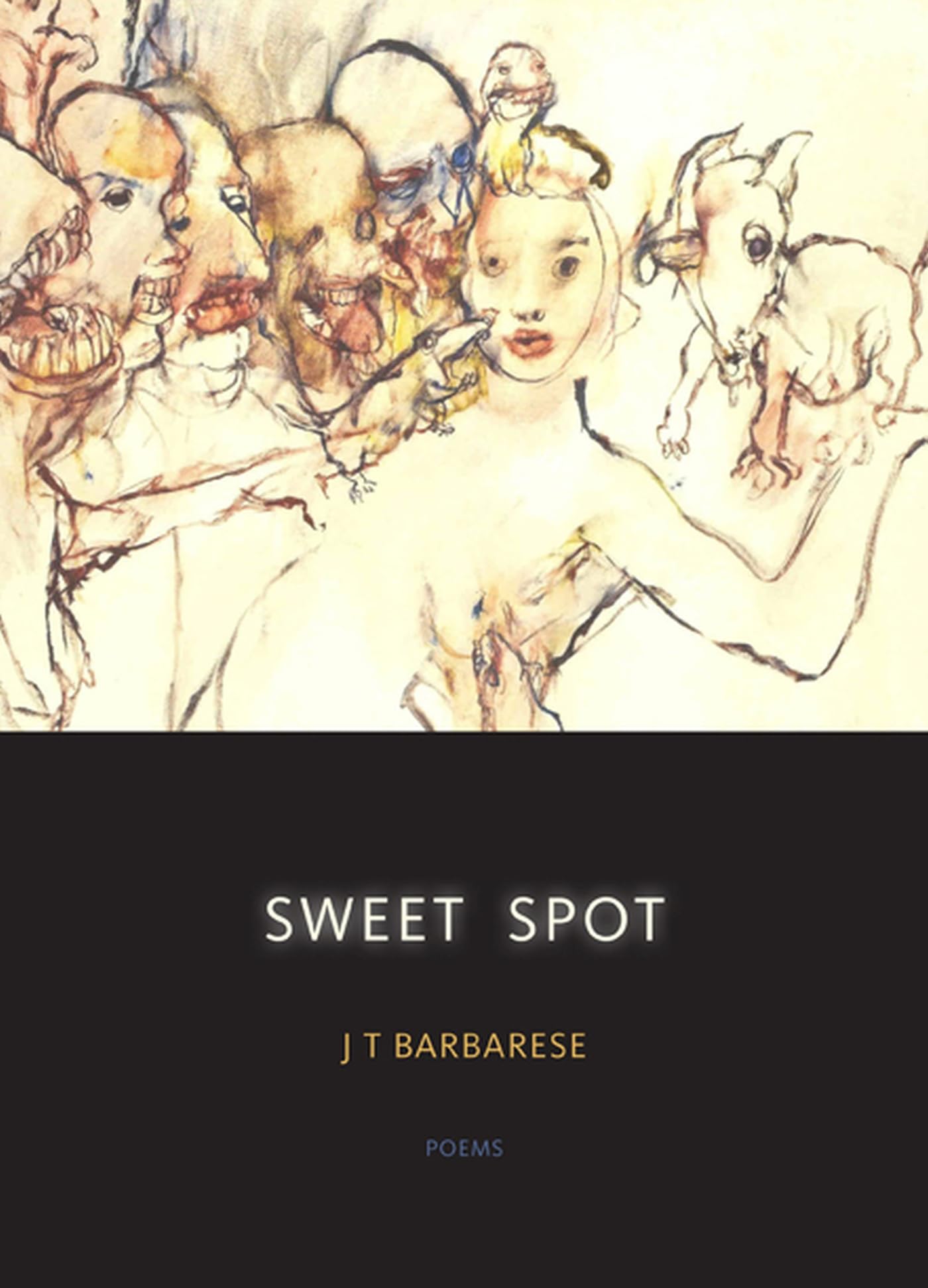 Sweet Spot: Poems,Used