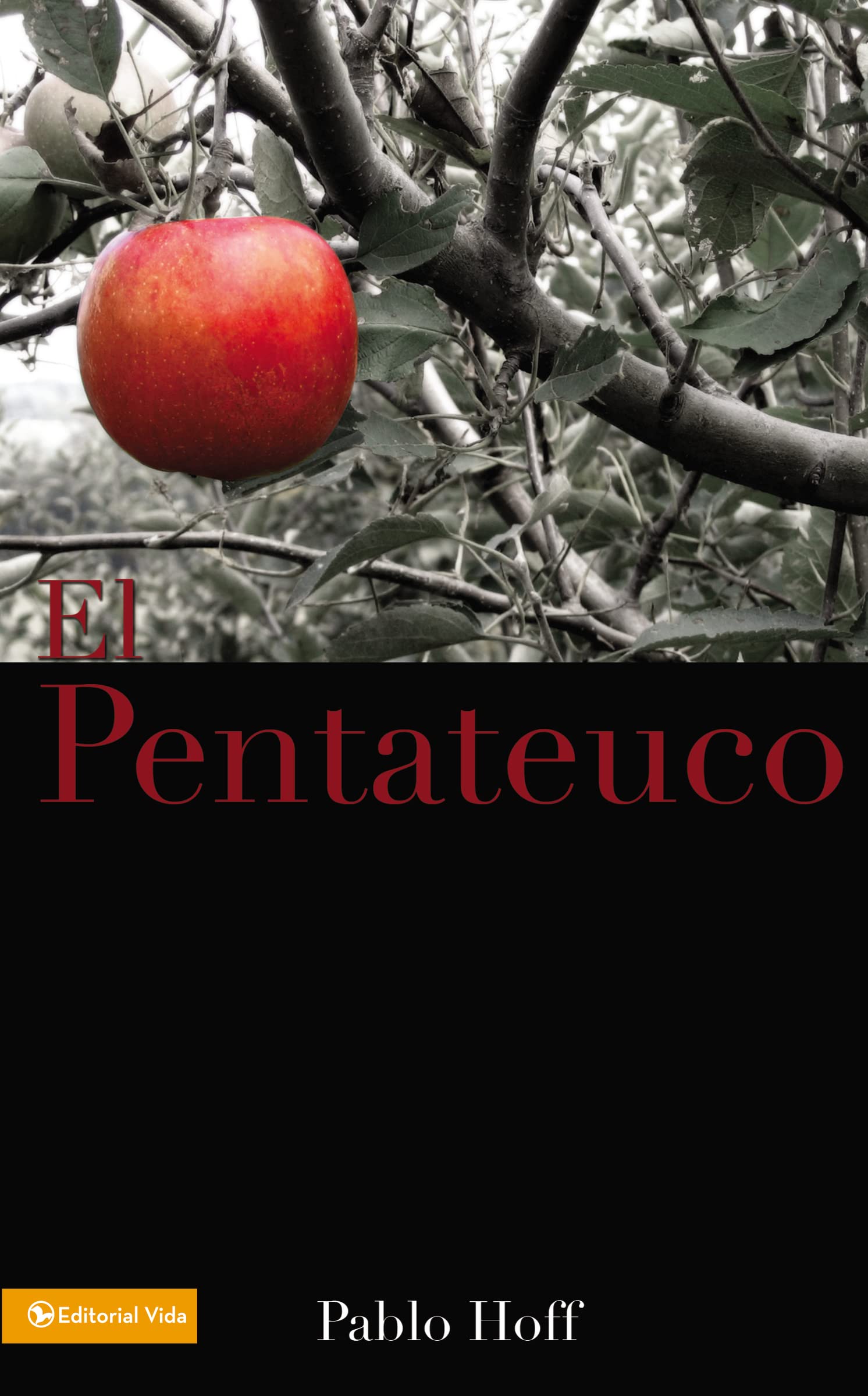 Pentateuco, El,Used