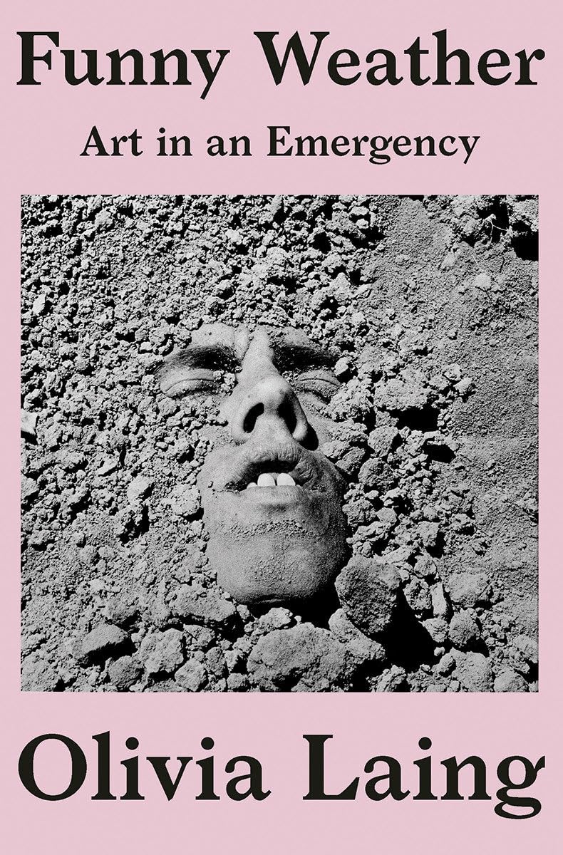 Funny Weather: Art In An Emergency-used