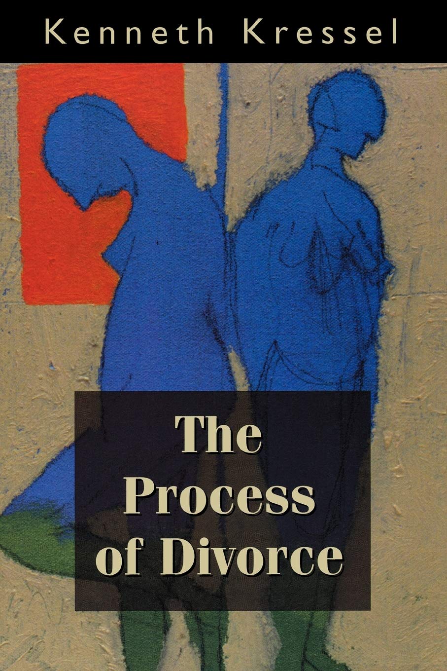 The Process of Divorce: Helping Couples Negotiate Settlements,Used