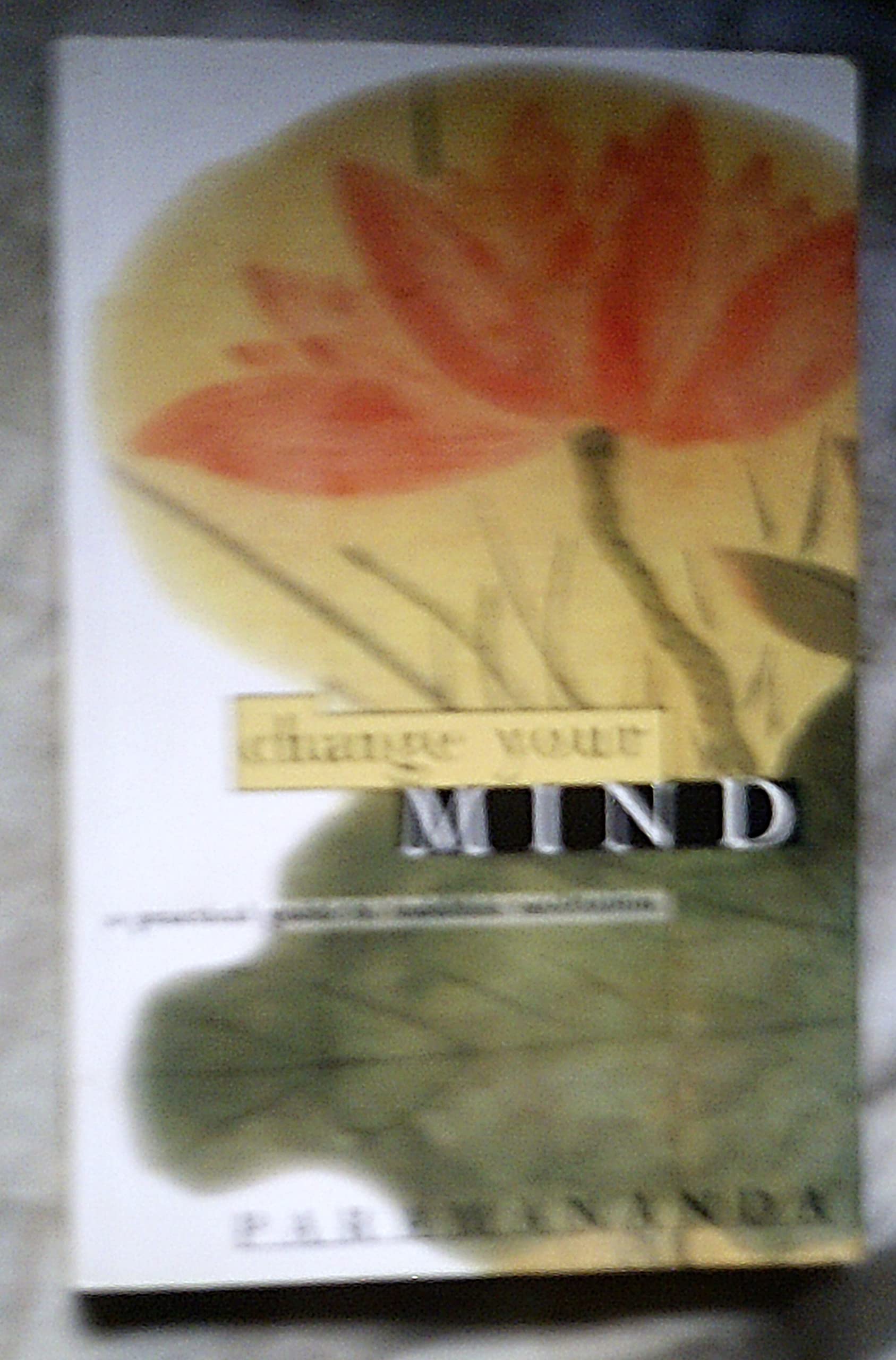Change Your Mind: A Practical Guide to Buddhist Meditation,Used