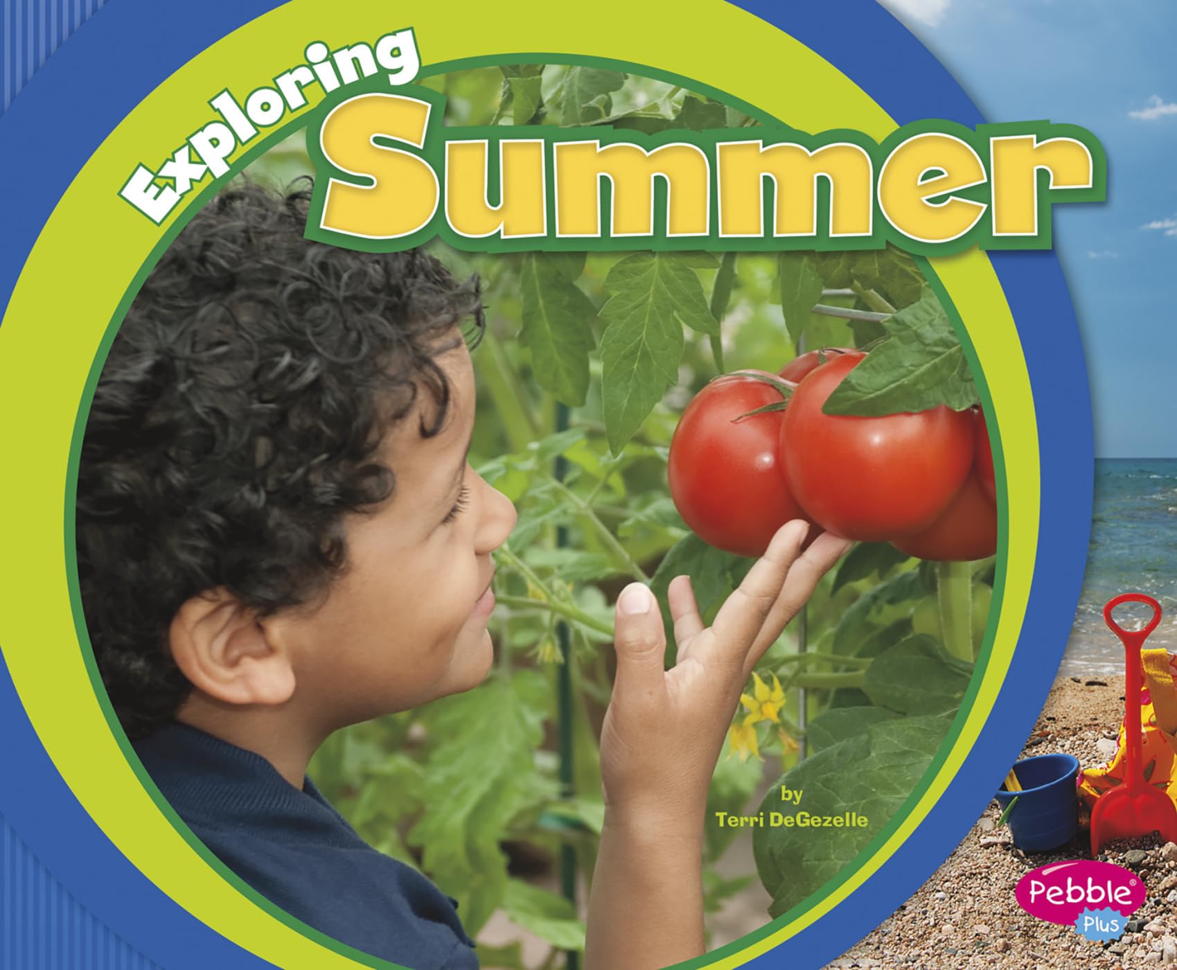 Exploring Summer (Exploring the Seasons),Used