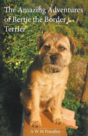 The Amazing Adventures of Bertie the Border Terrier,Used