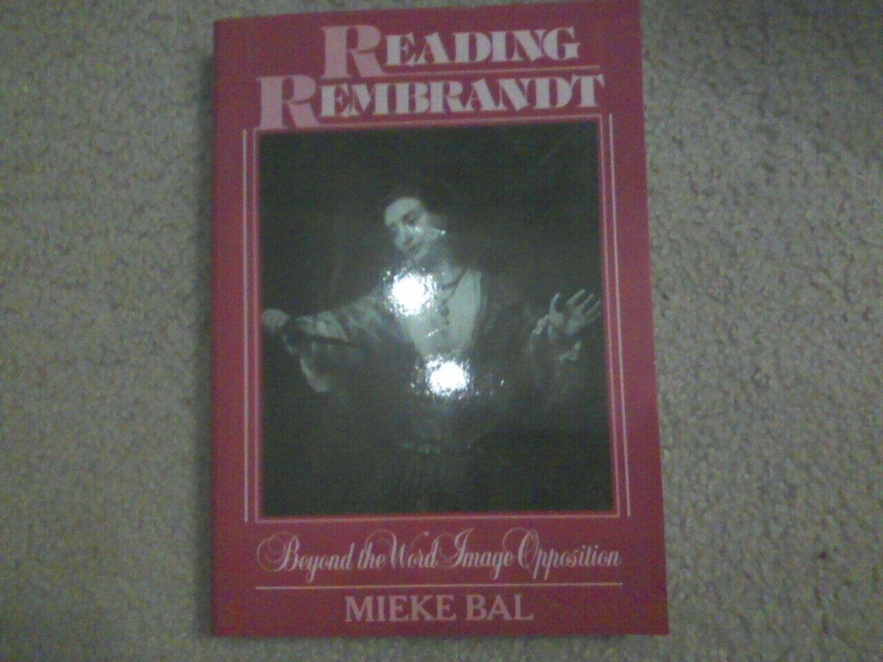 Reading Rembrandt : Beyond the WordImage Opposition (The Northrop Frye Lectures in Literary Theory) (Cambridge Studies in New A,Used