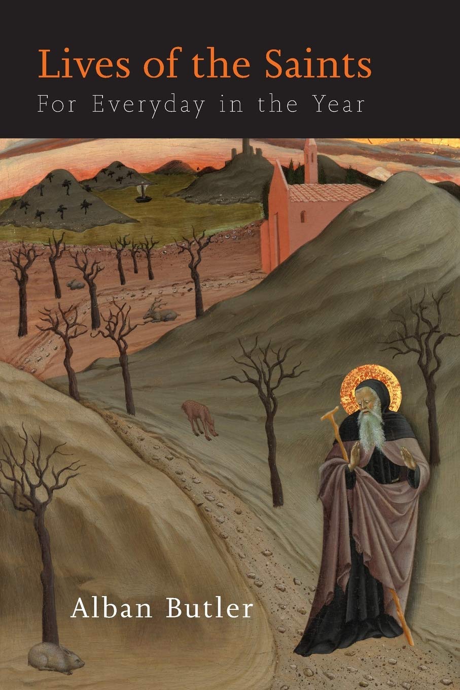 Lives of The Saints: For Everyday in the Year,Used