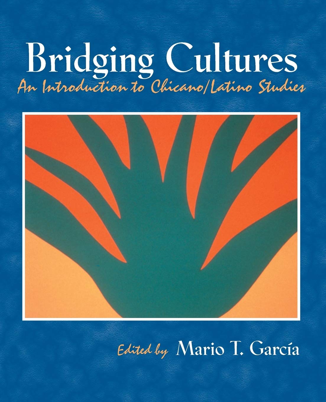 Bridging Cultures: An Introduction to Chicano/Latino Studies,Used