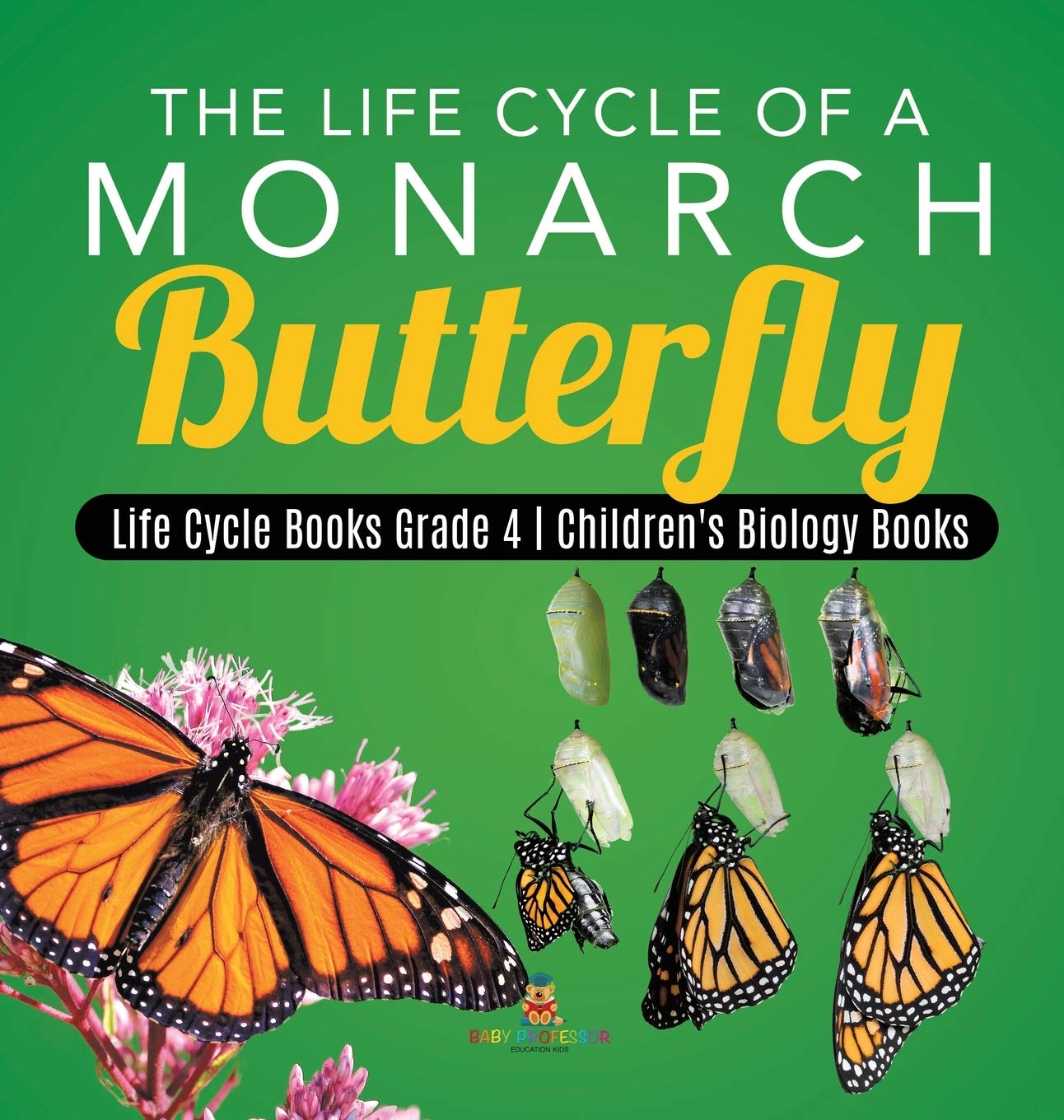 The Life Cycle Of A Monarch Butterfly Life Cycle Books Grade 4 Children'S Biology Books,Used