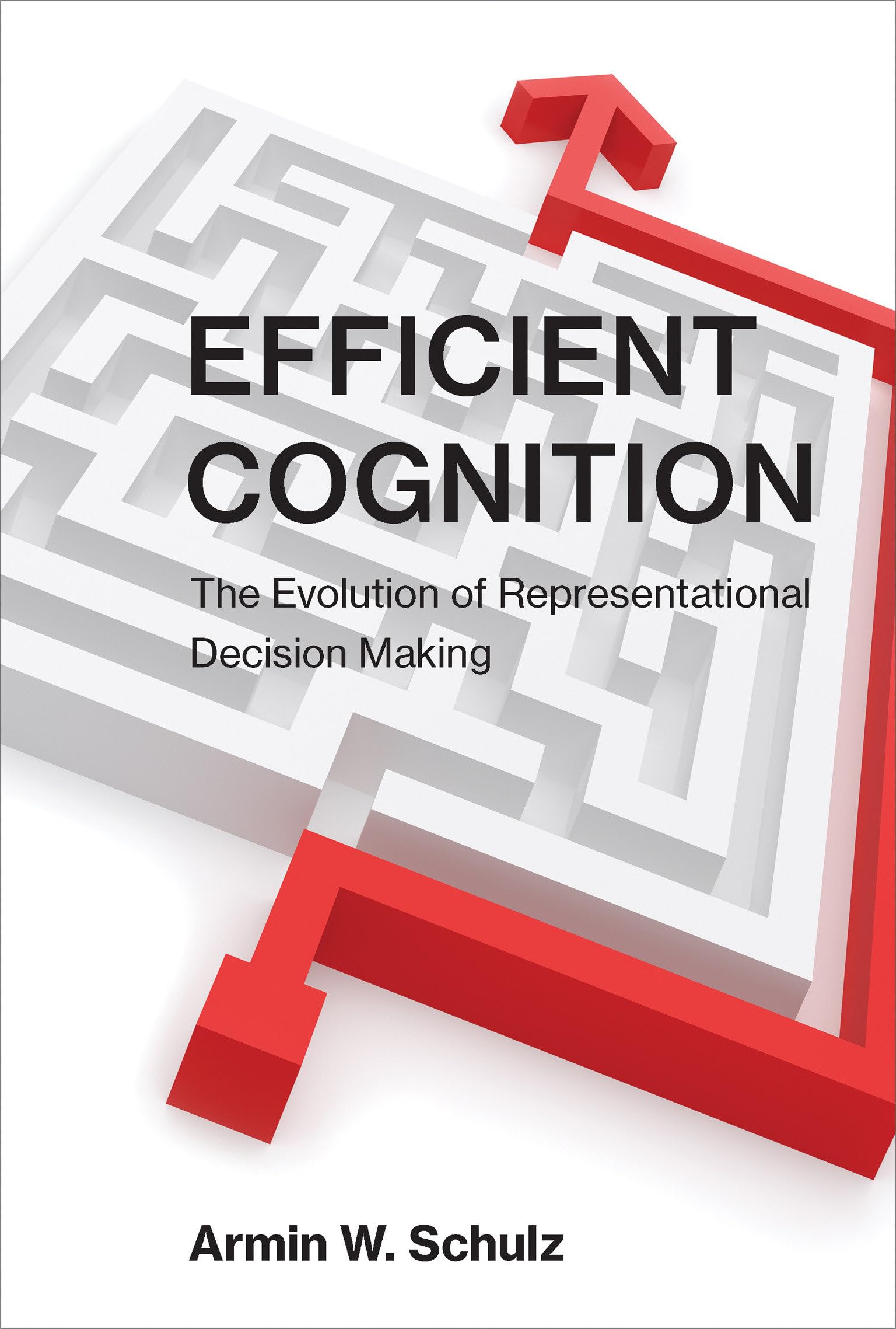 Efficient Cognition: The Evolution of Representational Decision Making,Used