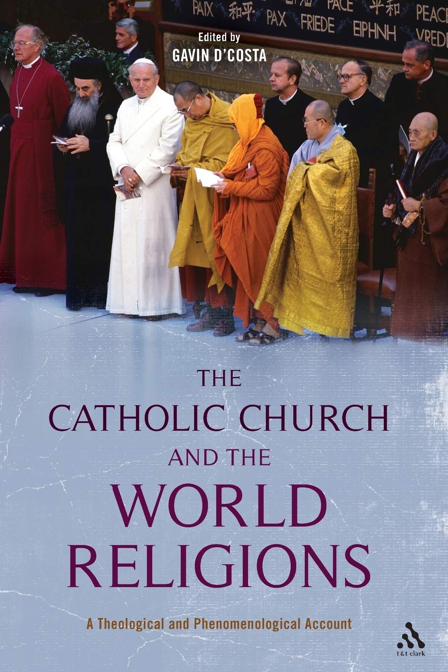 The Catholic Church and the World Religions: A Theological and Phenomenological Account,Used