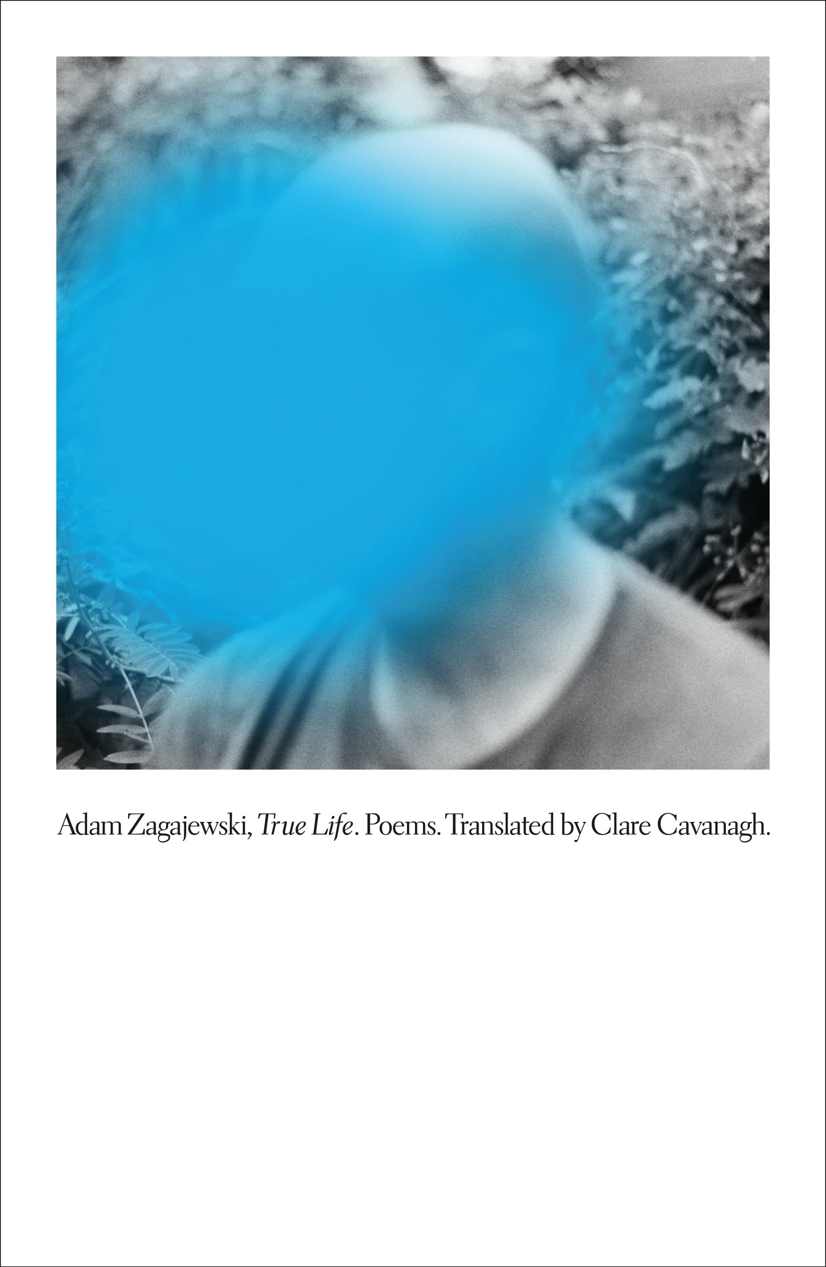 True Life: Poems,Used