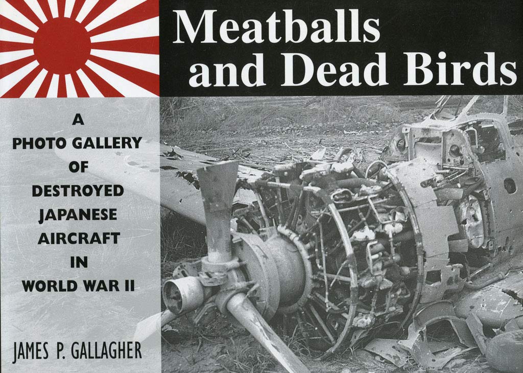 Meatballs and Dead Birds: A Photo Gallery of Destroyed Japanese Aircraft in World War II,Used