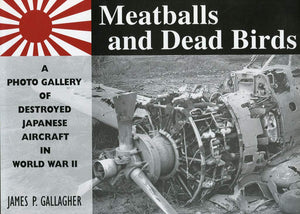 Meatballs and Dead Birds: A Photo Gallery of Destroyed Japanese Aircraft in World War II,Used