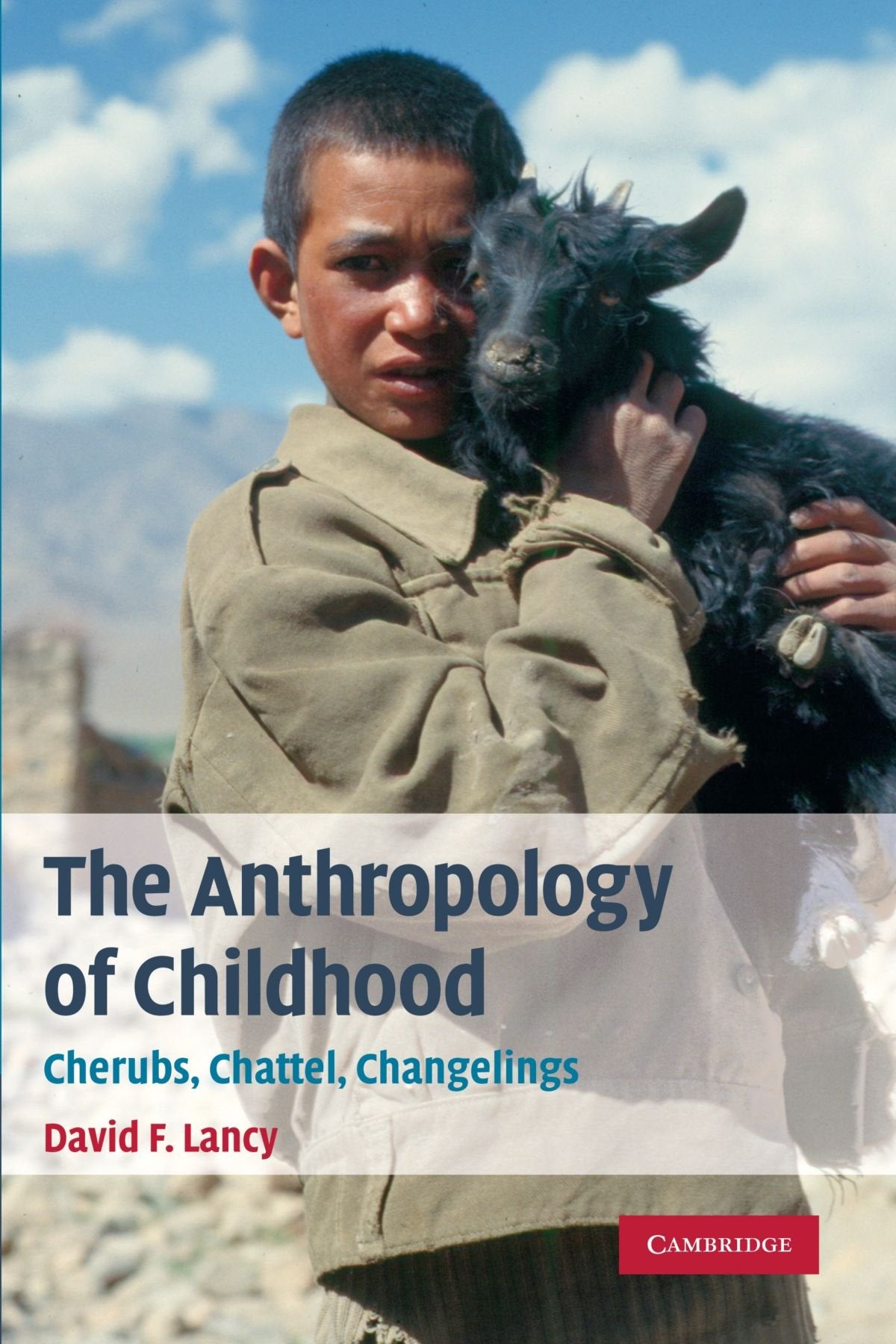The Anthropology of Childhood: Cherubs, Chattel, Changelings,Used