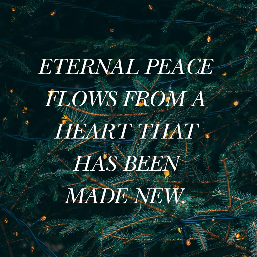 Advent  Bible Study Book: The Weary World Rejoices,New