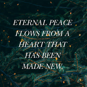 Advent  Bible Study Book: The Weary World Rejoices,New
