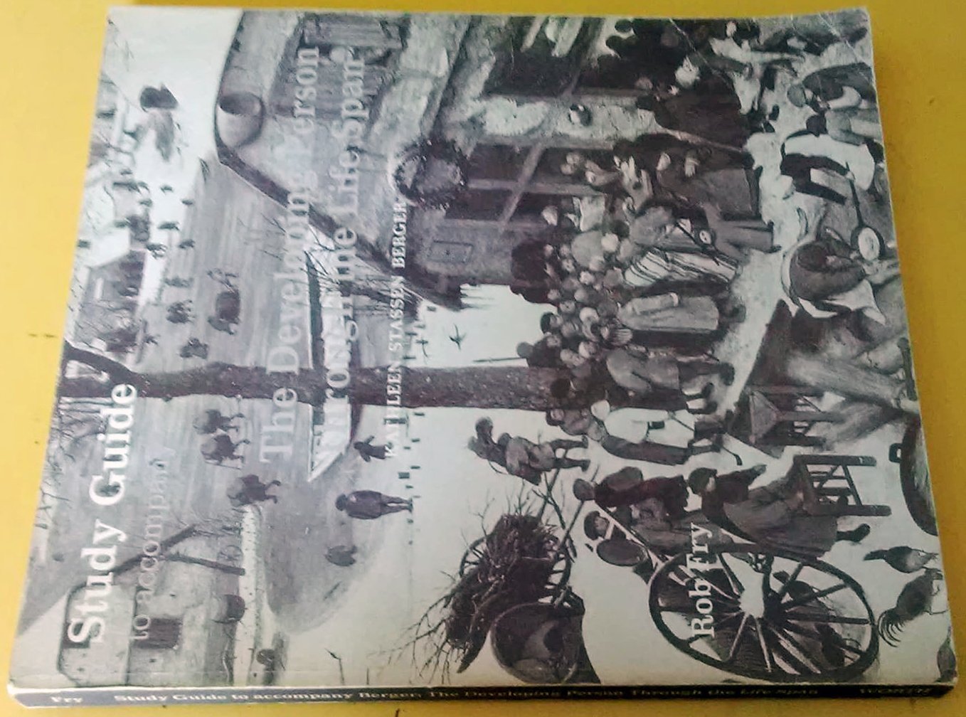 Study Guide to Accompany the Developing Person Through the Life Span,Used