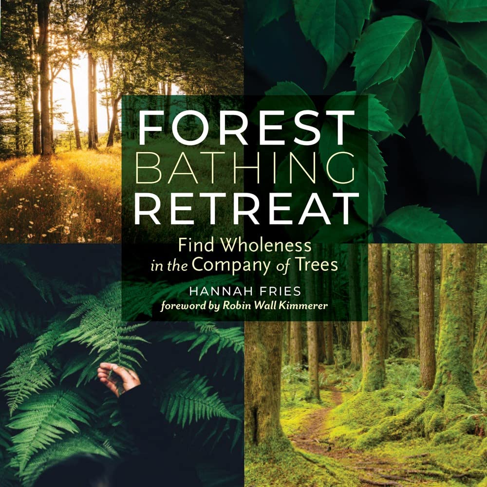Forest Bathing Retreat: Find Wholeness In The Company Of Trees