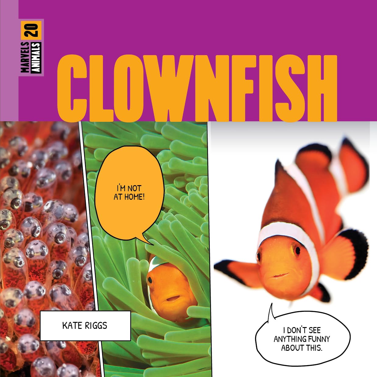 CLOWNFISH