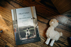 Prayers for Prodigals: 90 Days of Prayer for Your Child,New
