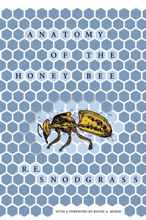 Anatomy Of The Honey Bee-new