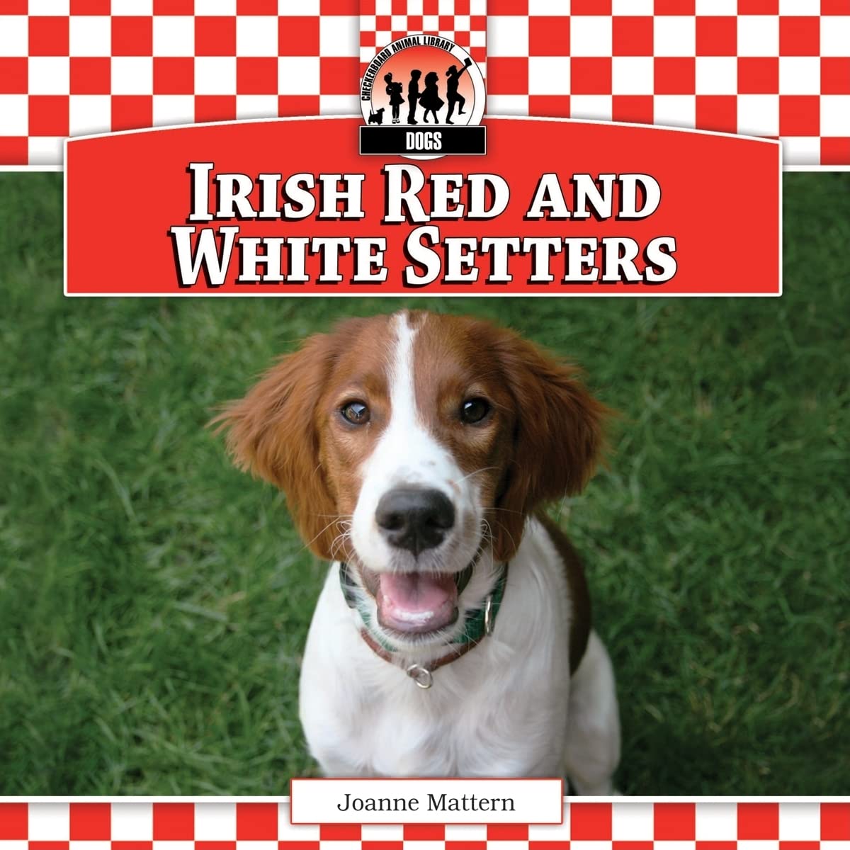 Irish Red and White Setters (Dogs),Used