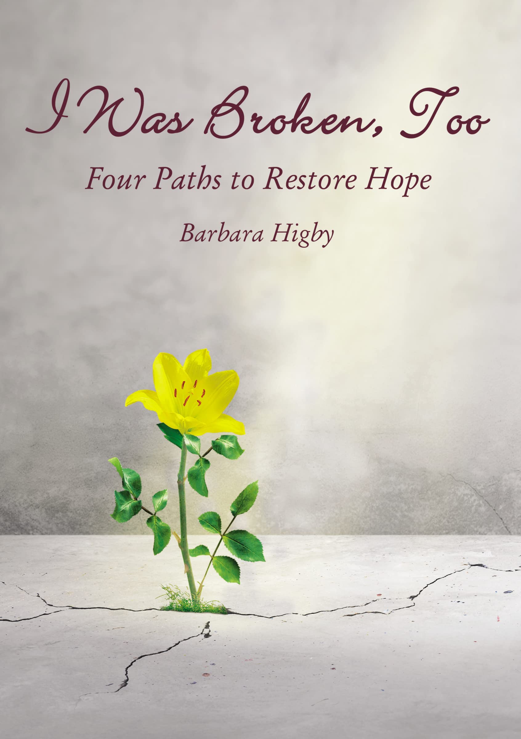 I Was Broken, Too: Four Paths to Restore Battered Hope,New