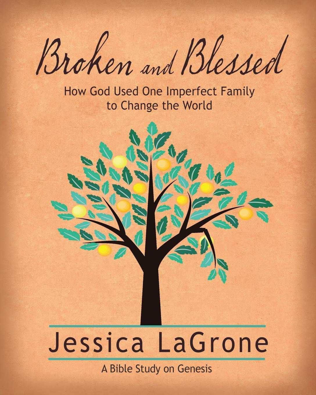 Broken and Blessed  Women's Bible Study Participant Book: How God Used One Imperfect Family to Change the World,Used