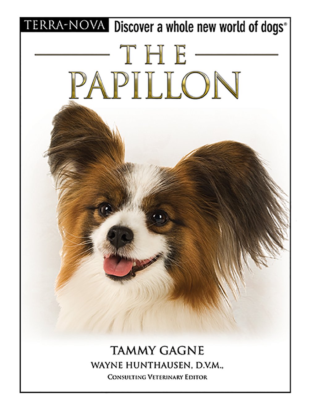 The Papillon-used