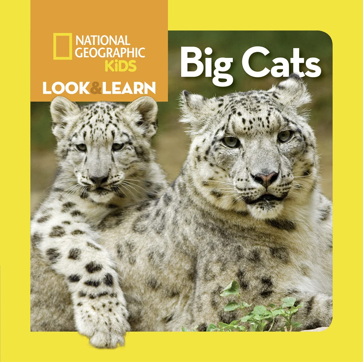 National Geographic Kids Look and Learn: Big Cats (Look & Learn),Used