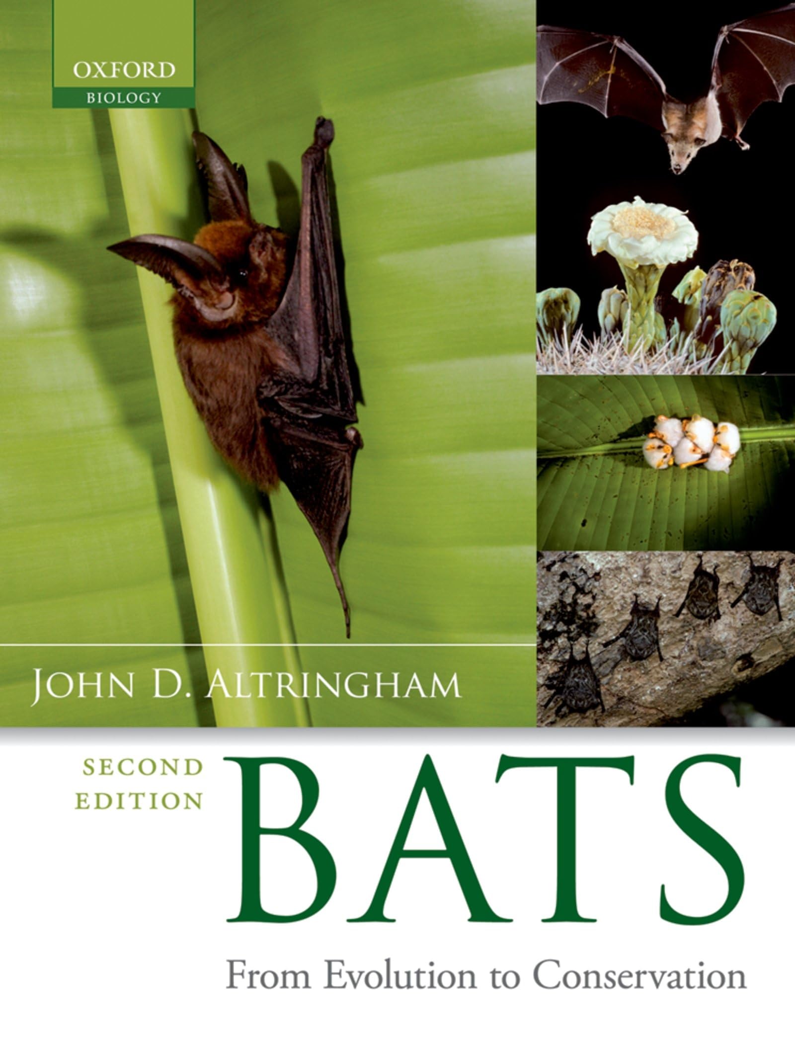 Bats: From Evolution to Conservation,Used