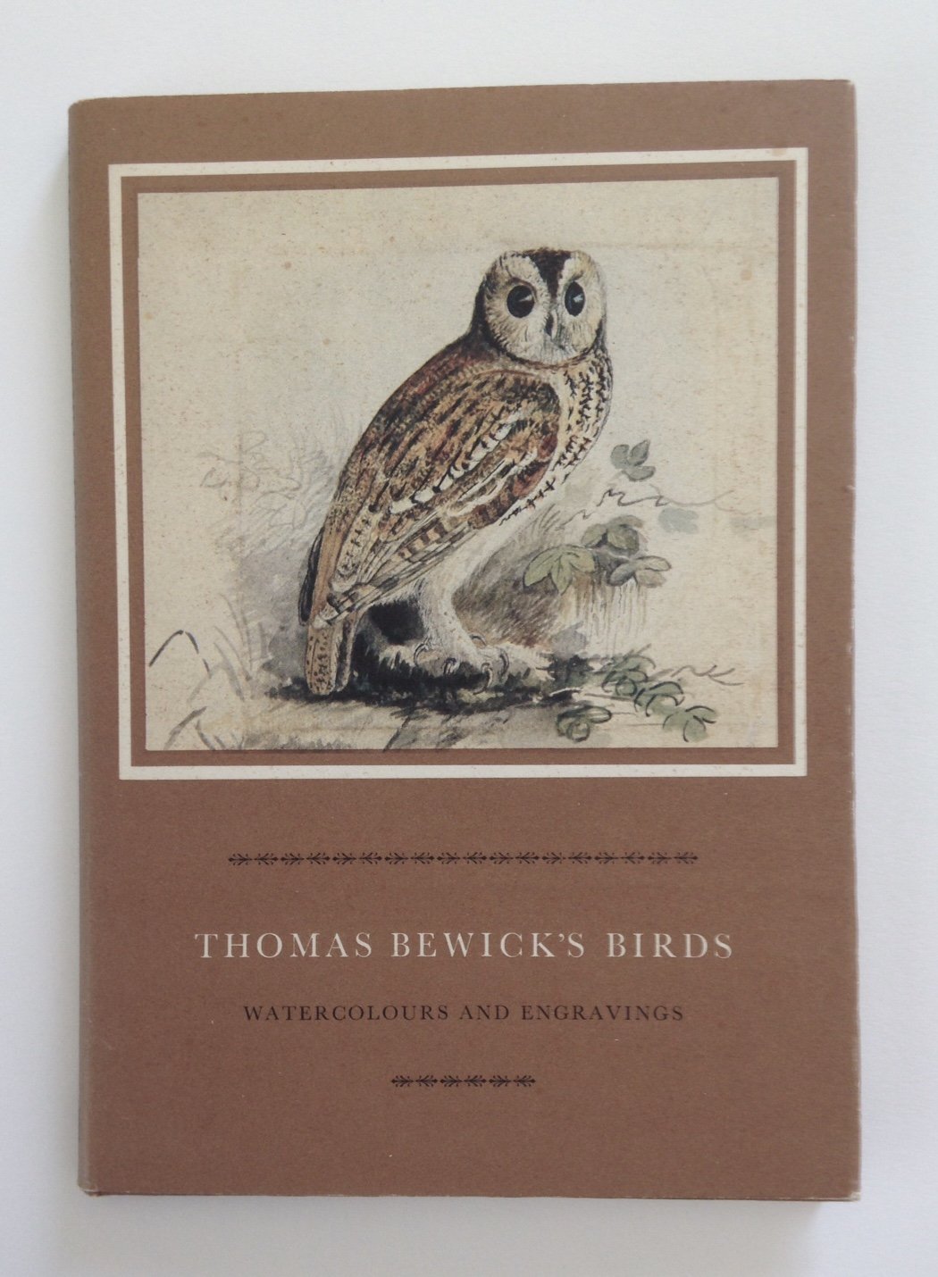 Thomas Bewick's Birds: Watercolours and Engravings,Used