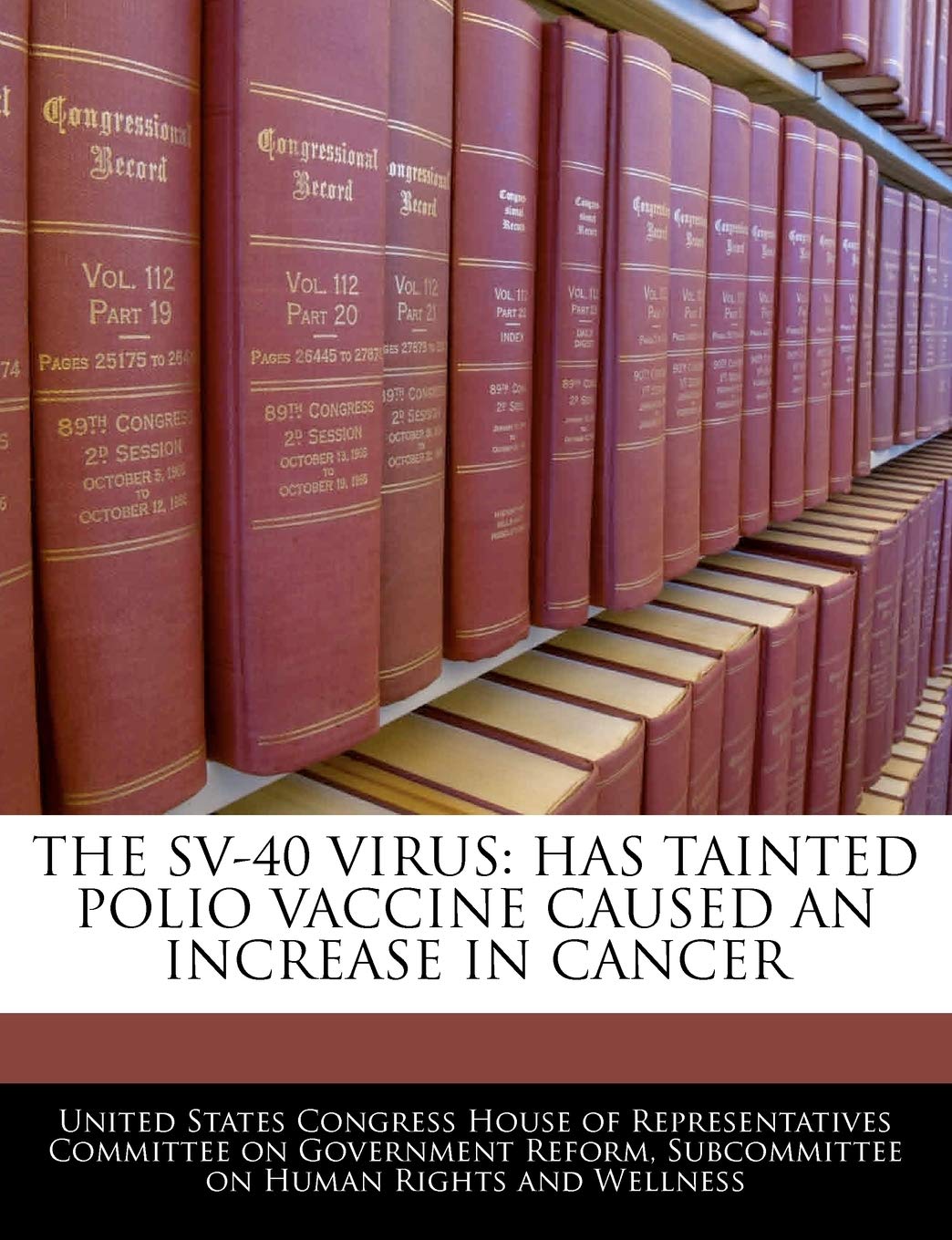 The Sv40 Virus: Has Tainted Polio Vaccine Caused an Increase in Cancer