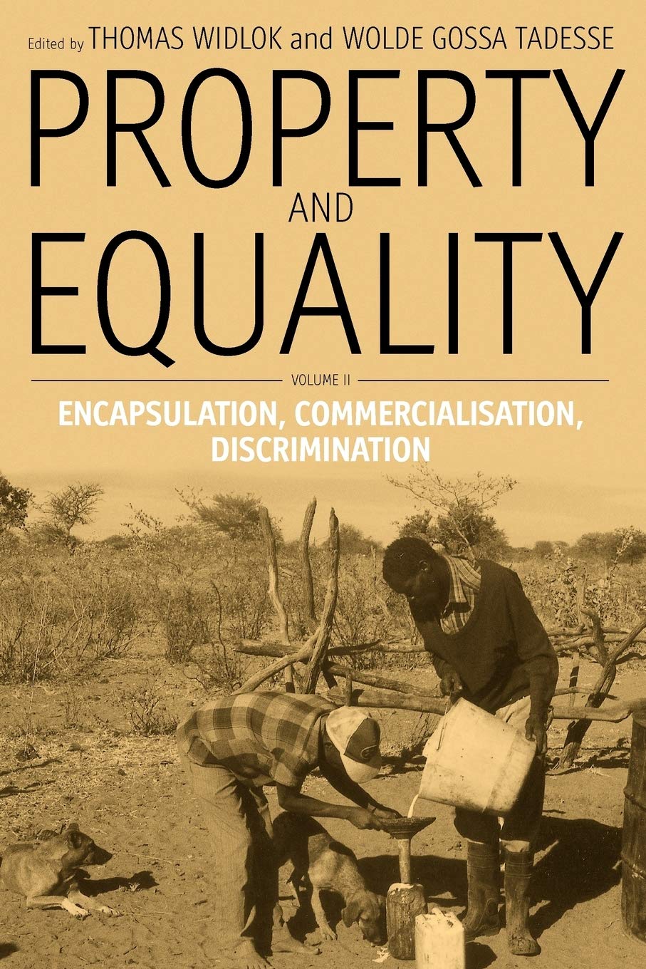 Property and Equality: Volume II: Encapsulation, Commercialization, Discrimination,Used