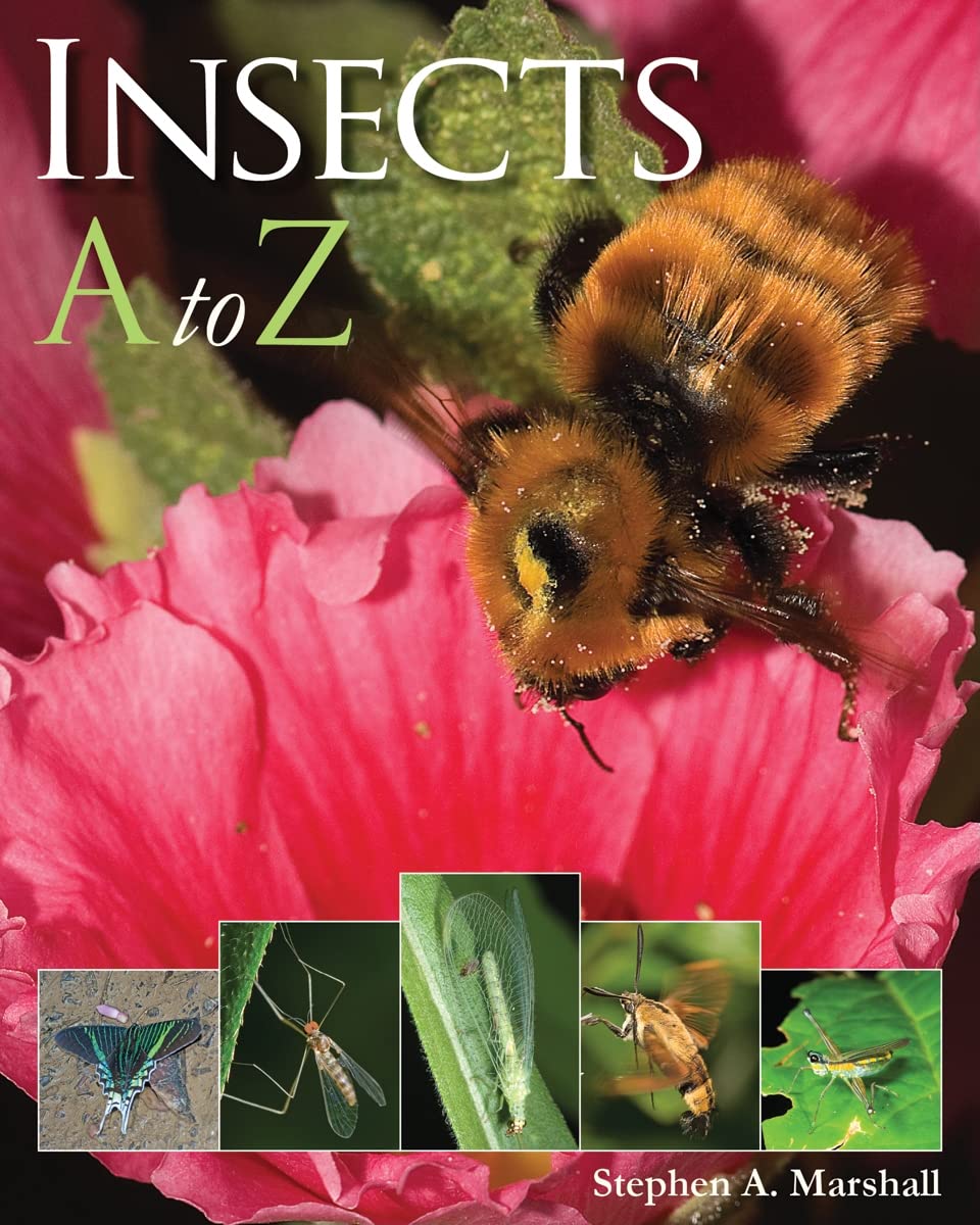 Insects A to Z (A to Z (Firefly Books)),Used