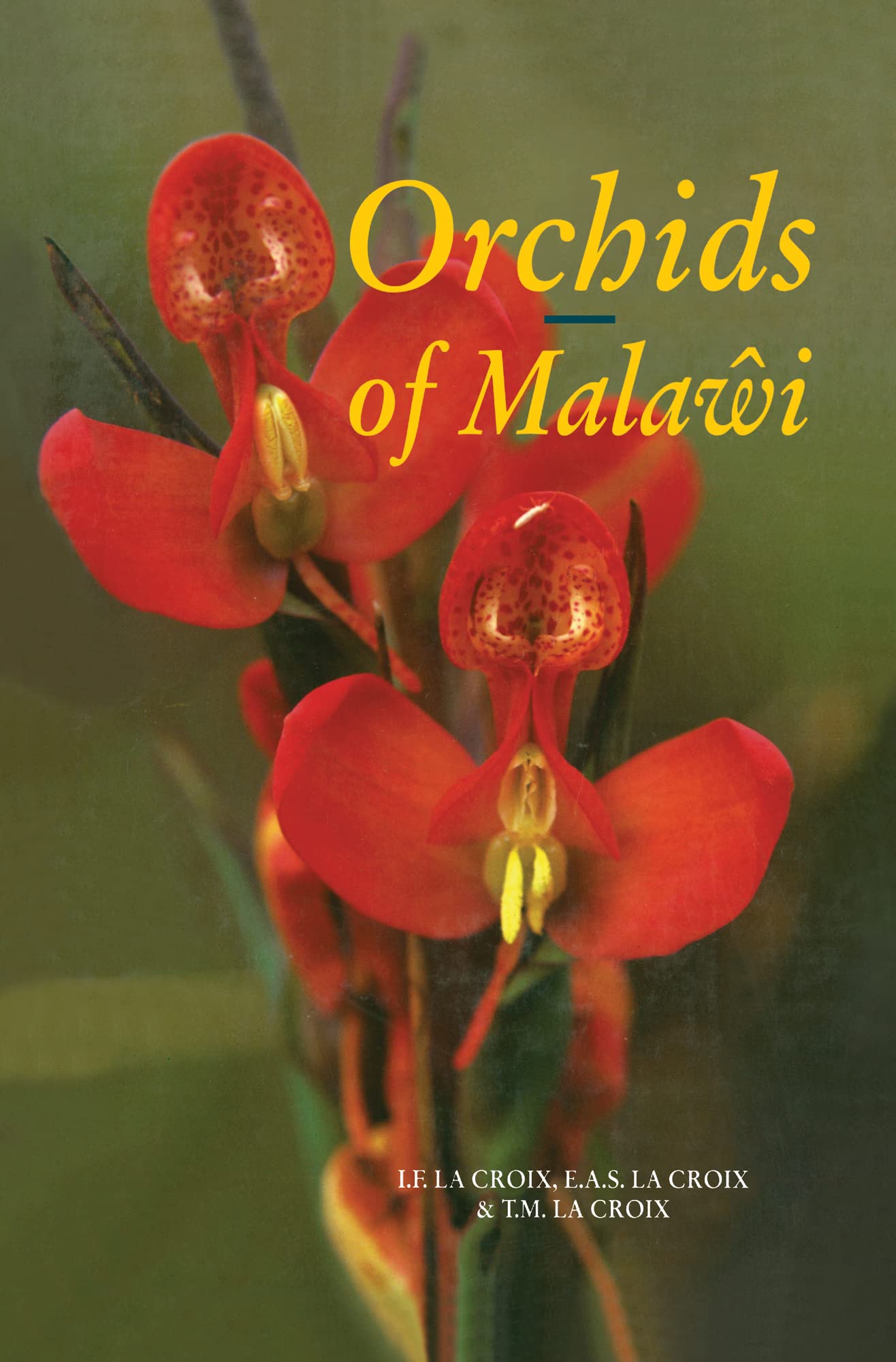 Orchids of Malawi: The epiphytic and terrestrial orchids from South and East Central Africa,Used